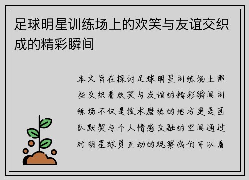 足球明星训练场上的欢笑与友谊交织成的精彩瞬间